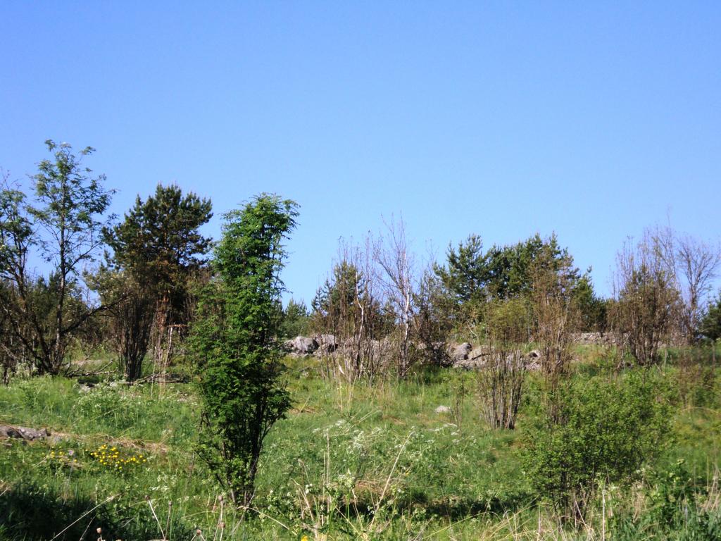 Пейзажи Заонежья.