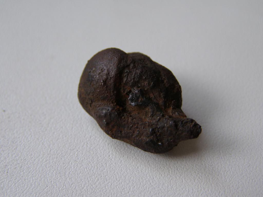P1010017