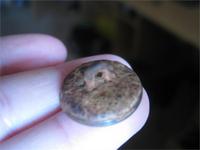 Та же пуговица