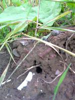 БЕЗ МЕТ.ИСКАТ.НАШЛА!!!)))