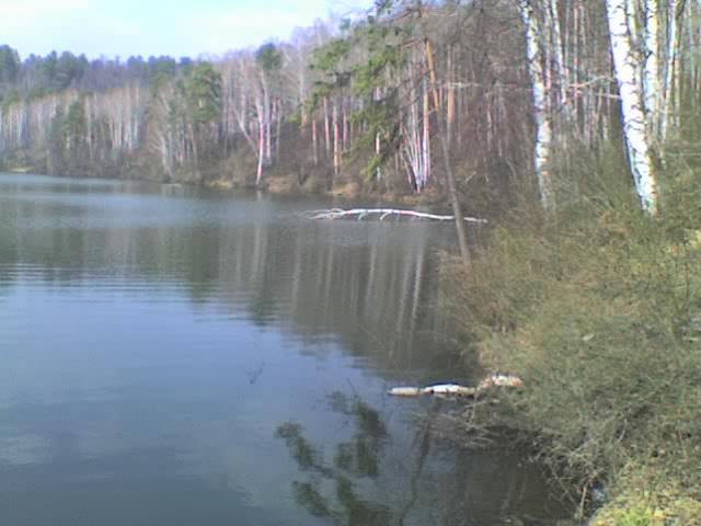 Зелёнорощенский пруд.Бугульминский р-н