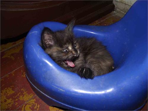 и здесь нашли...