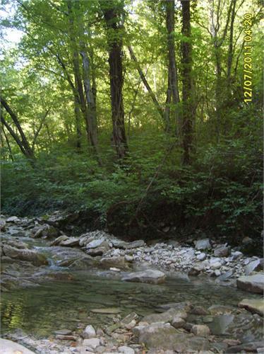 горная река