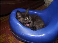 и здесь нашли...