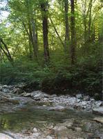 горная река