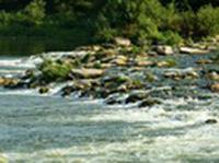 р.Быстрая сосна