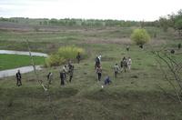 кто больше найдёт пятаков--