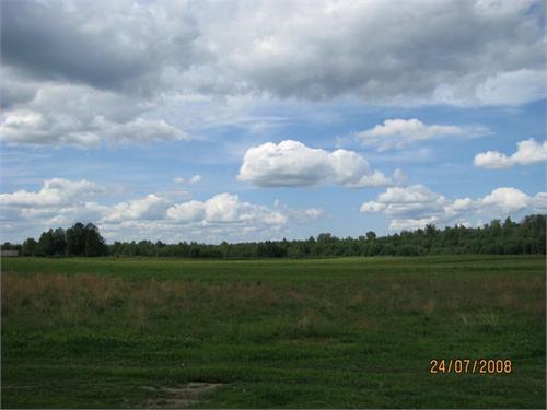 Русское поле