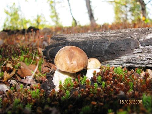 Попадаются и такие находки