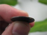 гурт 15 копеек