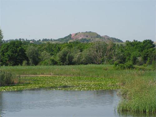 На озере зацвели кувшинки