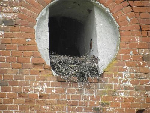 Смотритель церкви живет здесь-Черный ворон.