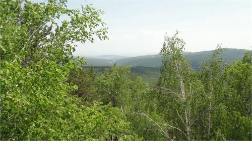 Вид на падь Старая Капчеранка.