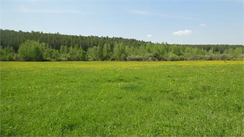 Красивый ЛУГ.