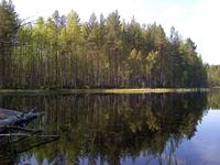 Озеро. В этих местах я копаю.