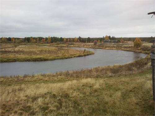 вид из окна