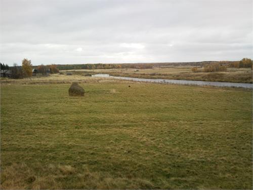 вид из окна