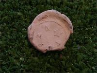 свинцовая пломба