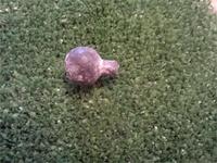 наверно пуля