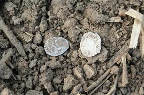 Смоленская область, Вяземский район. сезон 2010.