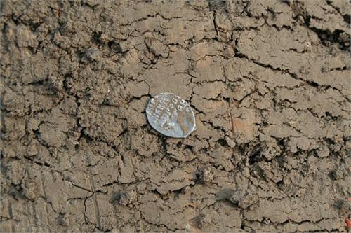 Смоленская область, Вяземский район. сезон 2010.