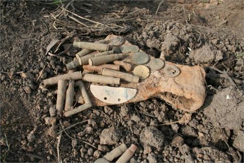 Смоленская область, Вяземский район. сезон 2010.