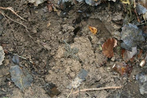 Октябрь 2009.