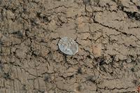 Смоленская область, Вяземский район. сезон 2010.