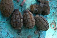 Фрукты Спас Деменска