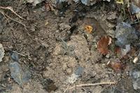 Октябрь 2009.