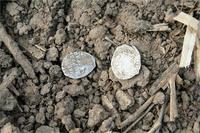 Найдены на месте церкви которая была разрушена в ВОВ. Всего было найдено 4300 штук (клад).