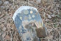 Первые подснежники сезона 2010.