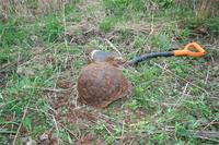 Шестиклёпка.