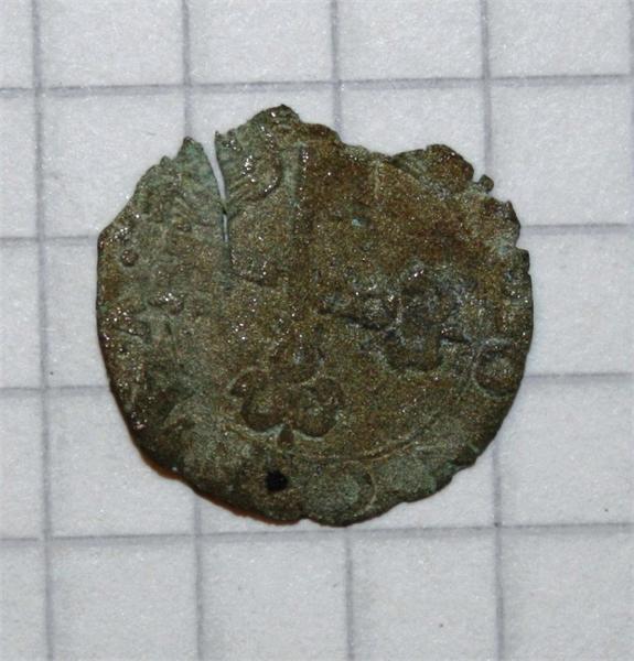 Ватиканская чешуя вид с анфас...(убитая)