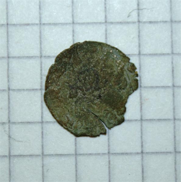 Ватиканская чешуя вид с фас...(убитая) 