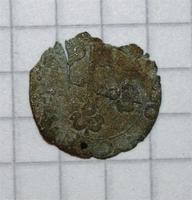 Ватиканская чешуя вид с анфас...(убитая)