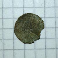 Ватиканская чешуя вид с фас...(убитая) 