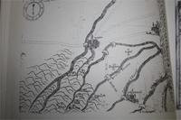 Архивы Ватикана