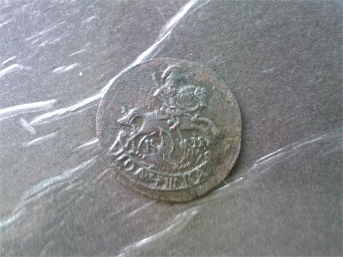 1368.jpg