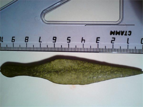 КАКОГО ВЕКА СЕЙ НАКОНЕЧНИК?