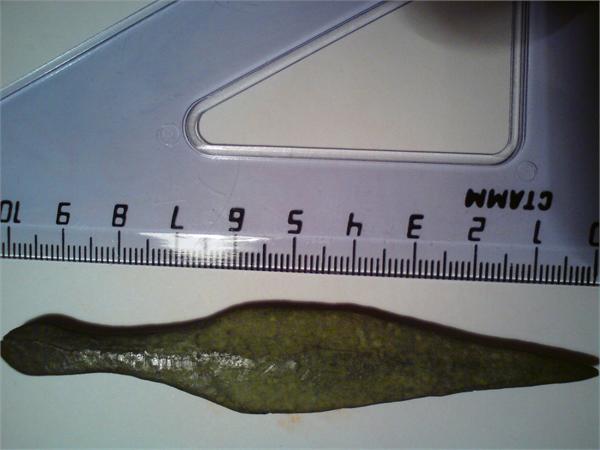 ОБРАТНАЯ СТОРОНА