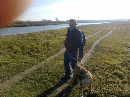 выгул пса на Днепре