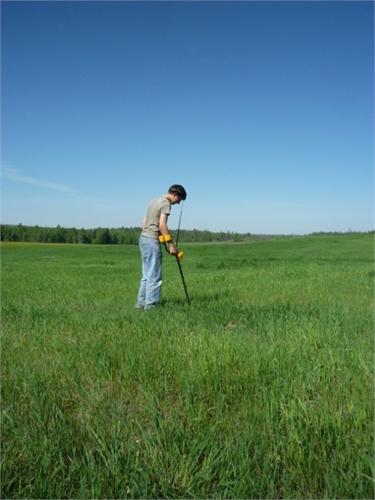 Заливные луга Вихоревки