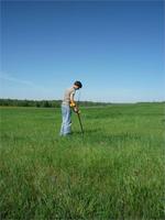 Заливные луга Вихоревки