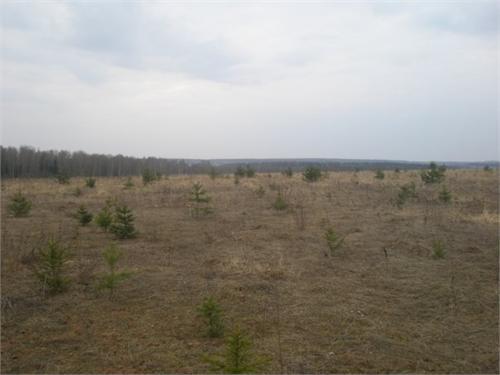 Здесь было село...