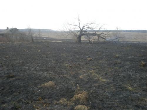 Практически нежилое с.Калмань. Принадлежало Дмитрию Пожарскому. Позже, он продал его из-за долгов.