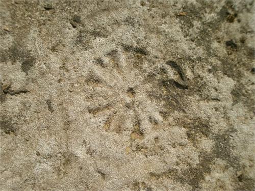 На крышке каменного саркофага. Такие занки делались во времена Ивана Грозного, на захоронениях знатных людей. Найден рядом с разорённым курганом. Ярославская обл. близ д.Ивкино.
