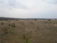 Здесь было село...