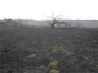 Практически нежилое с.Калмань. Принадлежало Дмитрию Пожарскому. Позже, он продал его из-за долгов.