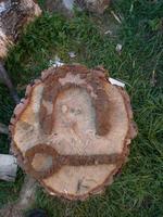 Тоже, вообщем, находки...